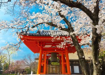 Jalur Karier Cemerlang di Jepang: Pelatihan Holistik untuk Memaksimalkan Potensi Anda dalam Bekerja di Jepang